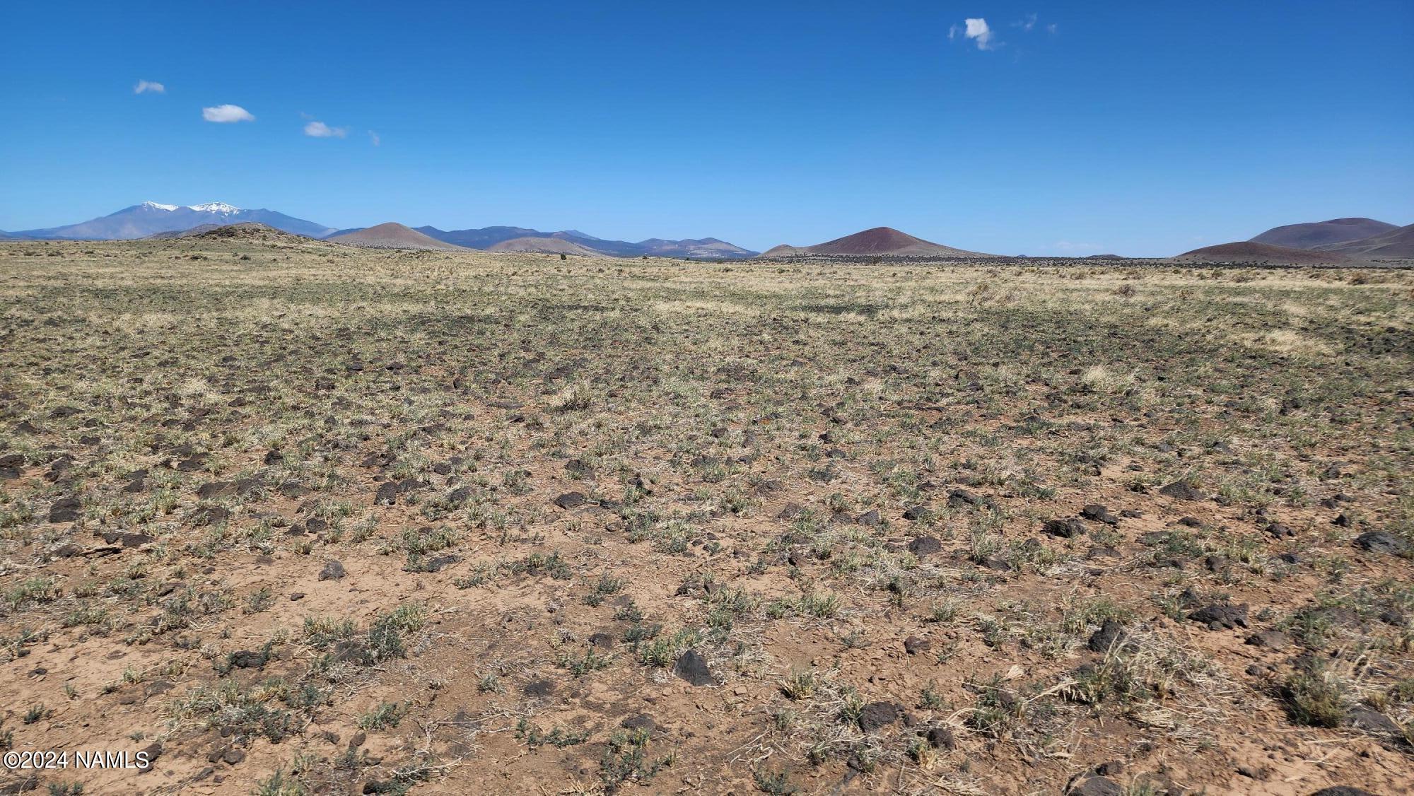 30317044 Alpine Ranch Flagstaff, AZ 86004 - Photo 6 of 9 30317044 parcel view