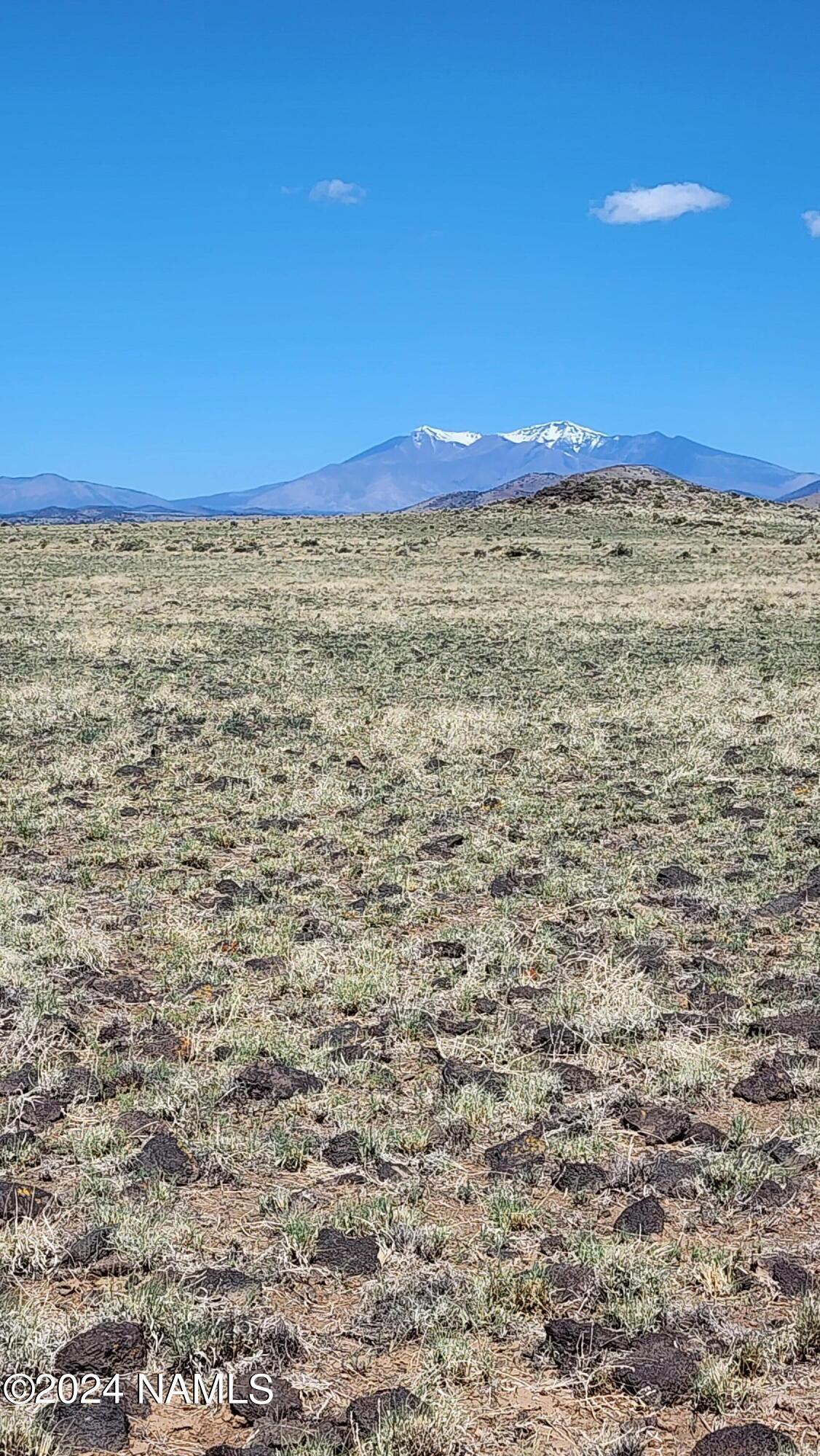30317044 Alpine Ranch Flagstaff, AZ 86004 - Photo 7 of 9 30317044-