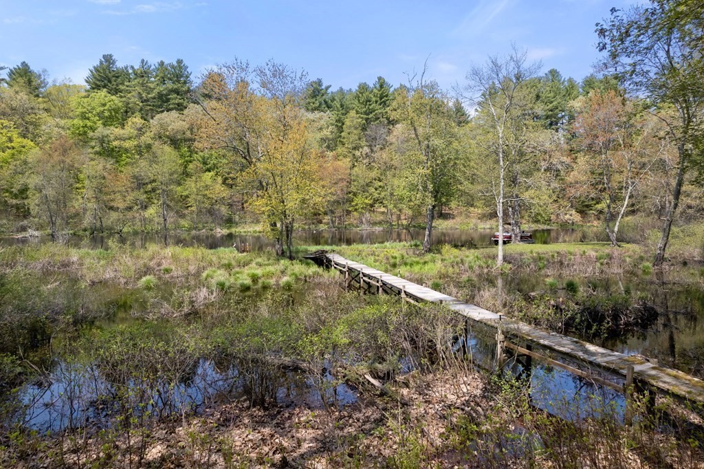 9 Lantern Lane Natick, MA 01760 - Photo 36 of 42 a view of a yard with a tree
