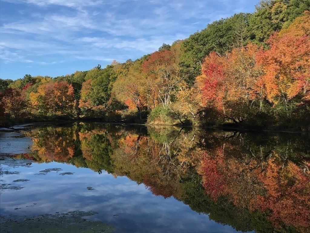 9 Lantern Lane Natick, MA 01760 - Photo 37 of 42 a view of lake