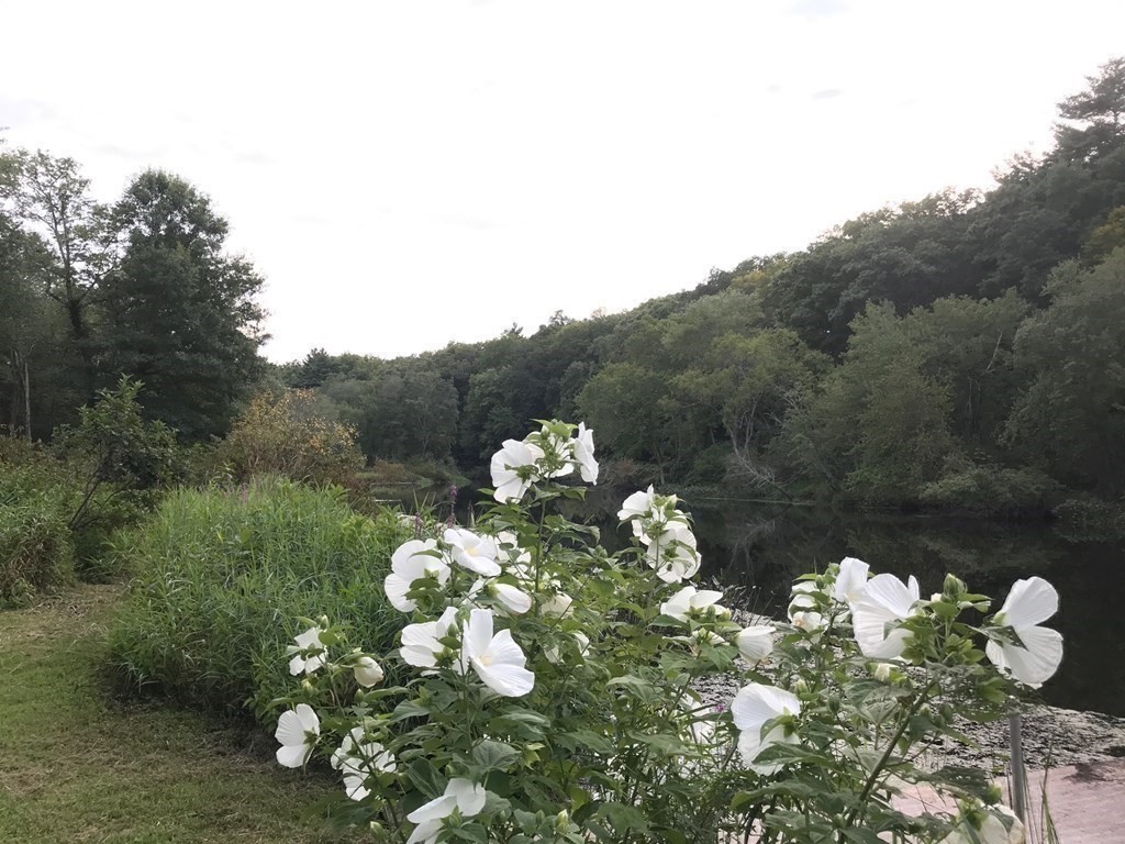 9 Lantern Lane Natick, MA 01760 - Photo 42 of 42 a backyard of a house with lots of green space
