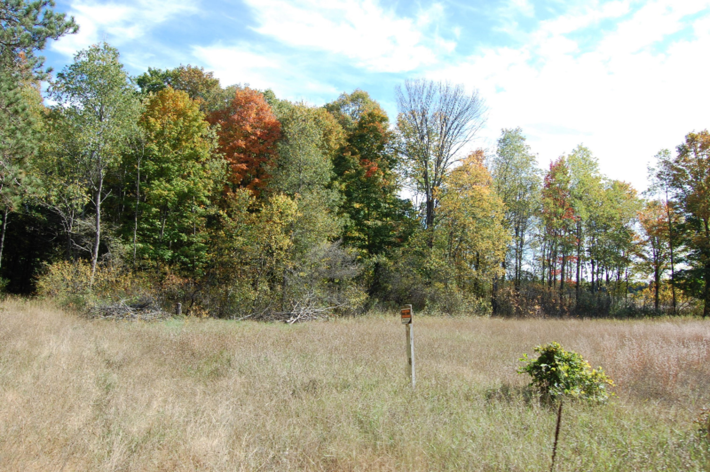 6141 East 6th Road Manton, MI 49663 - Photo 20 of 63 DSC_0020
