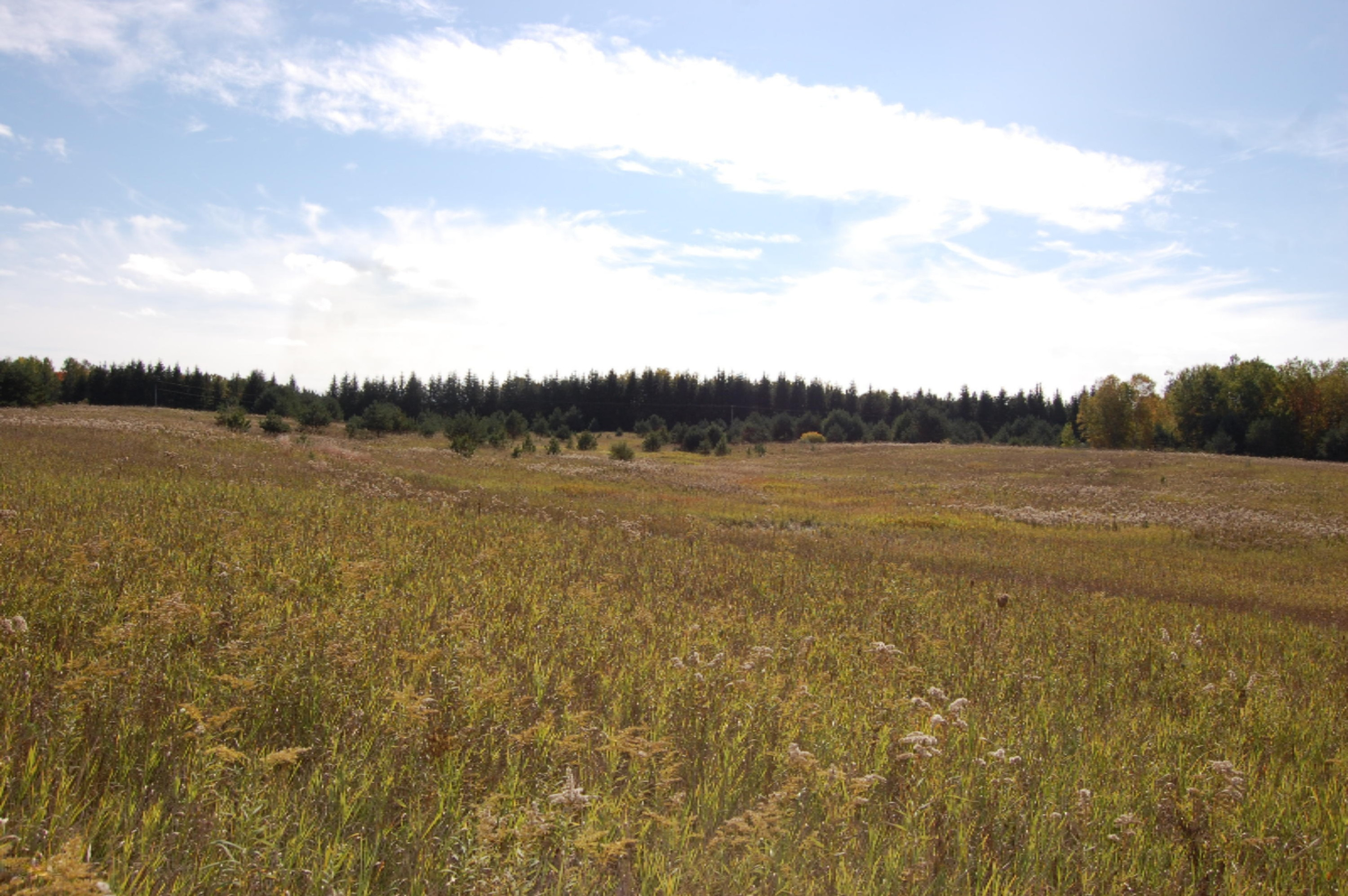 6141 East 6th Road Manton, MI 49663 - Photo 30 of 63 DSC_0032