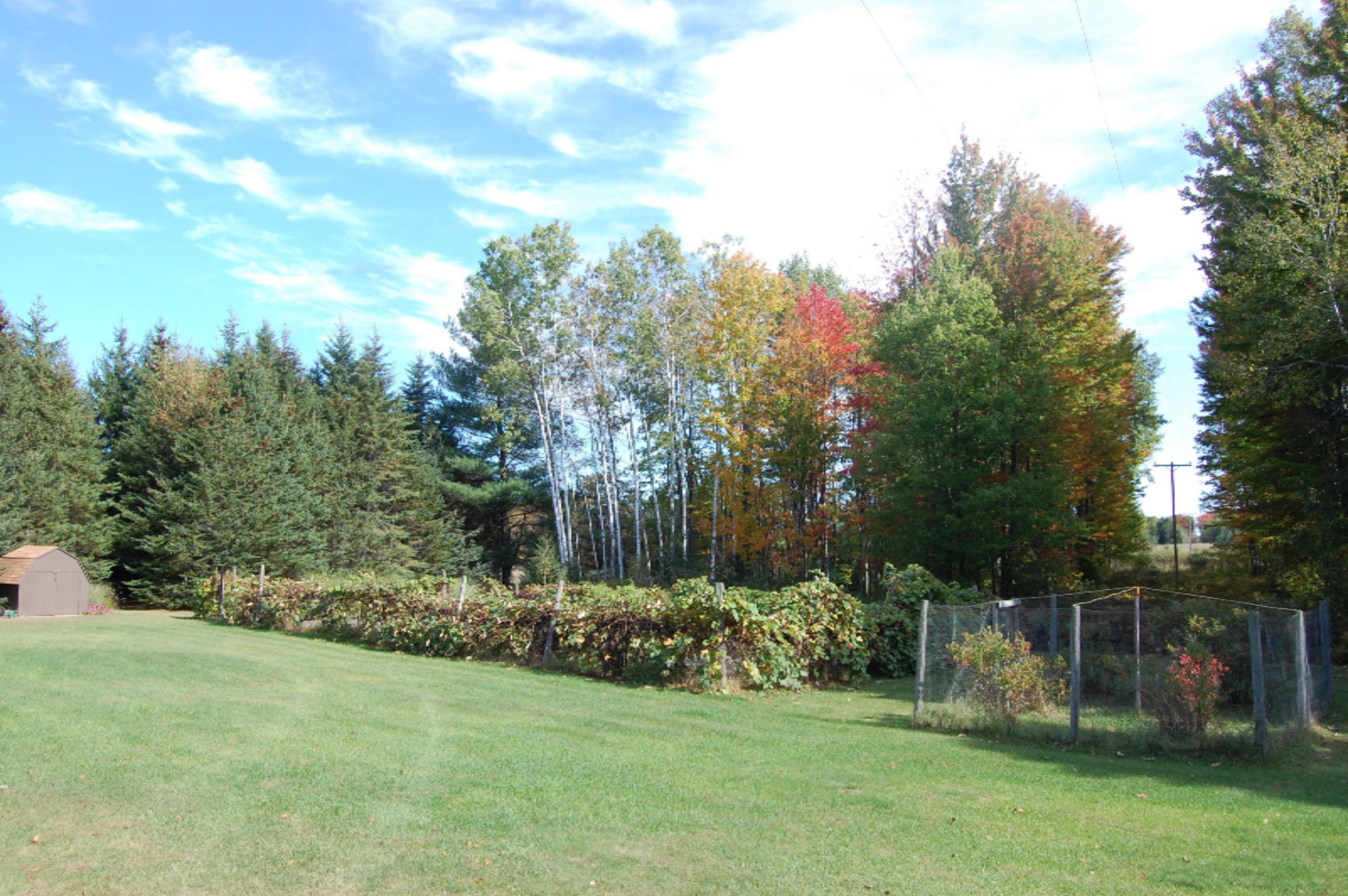 6141 East 6th Road Manton, MI 49663 - Photo 3 of 63 DSC_0003