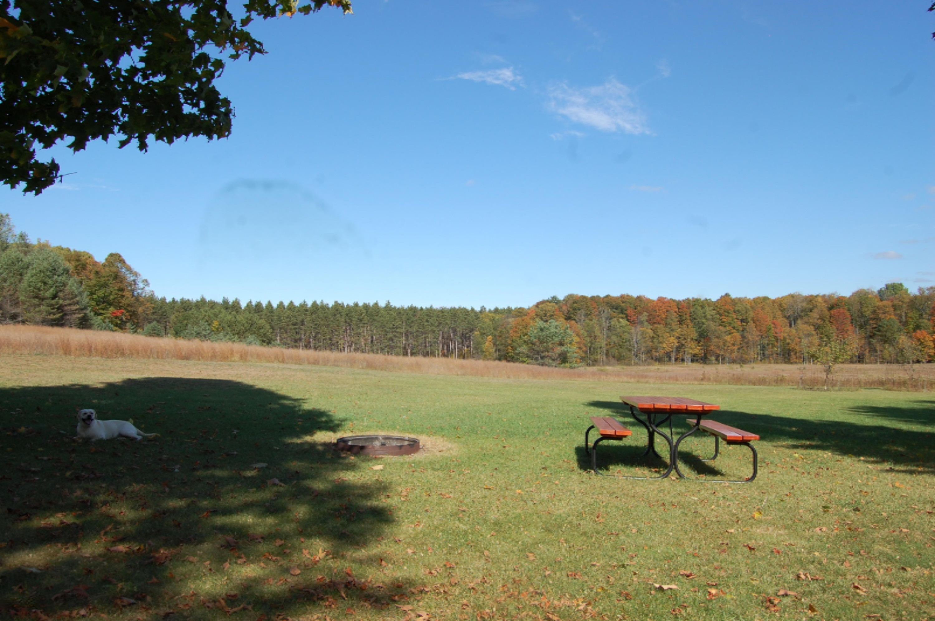 6141 East 6th Road Manton, MI 49663 - Photo 34 of 63 DSC_0037