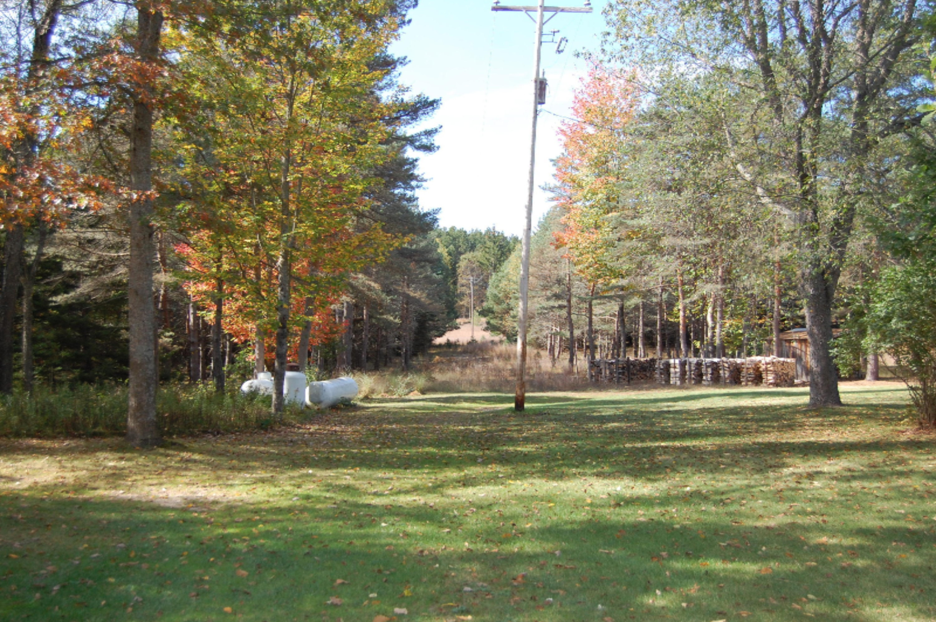 6141 East 6th Road Manton, MI 49663 - Photo 8 of 63 DSC_0008