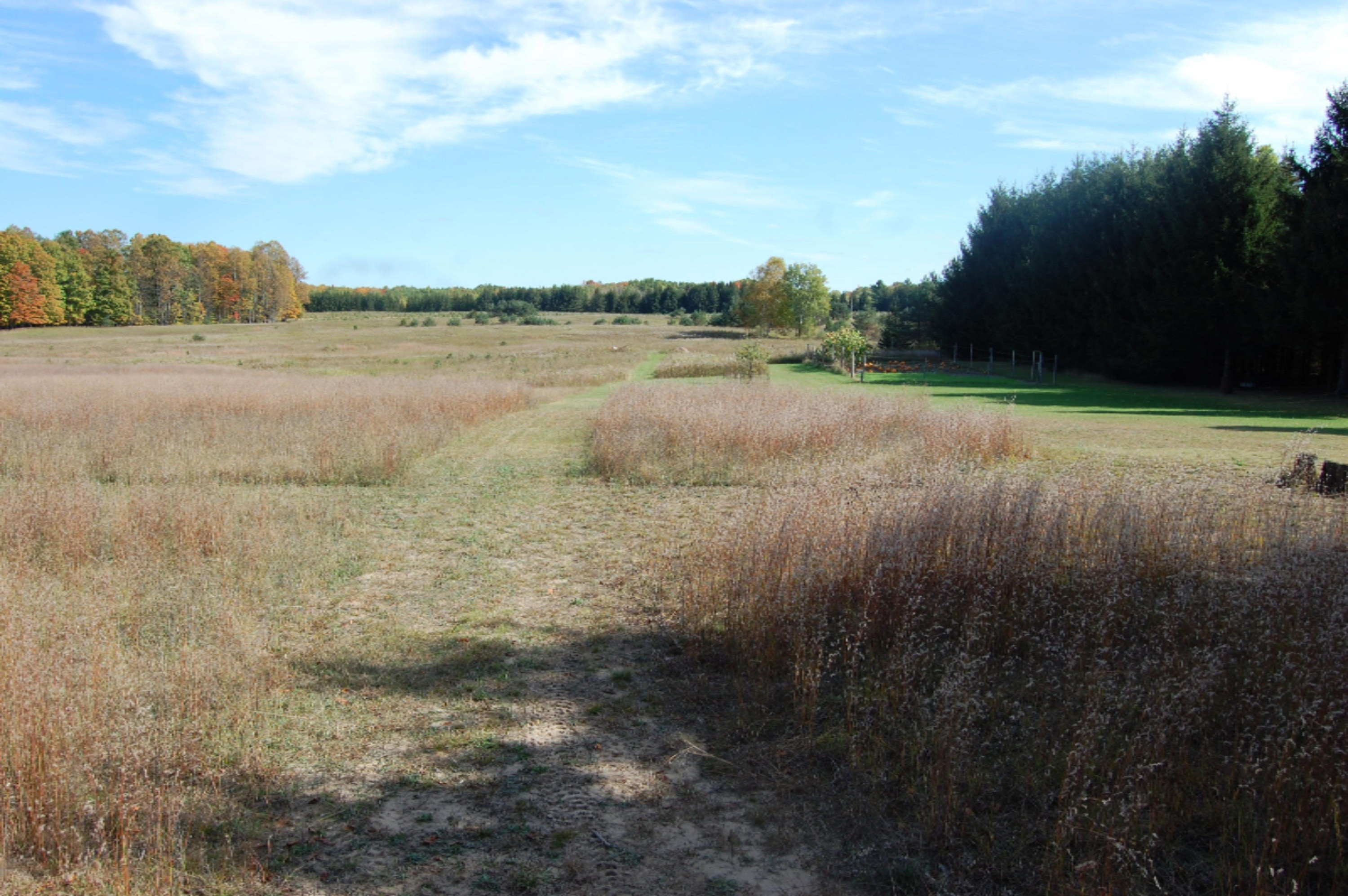 6141 East 6th Road Manton, MI 49663 - Photo 10 of 63 DSC_0010