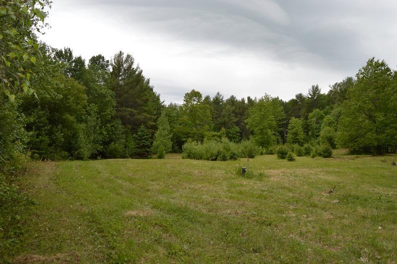 152 Walton Mills Road Cornville, ME 04976 - Photo 17 of 21 Photo