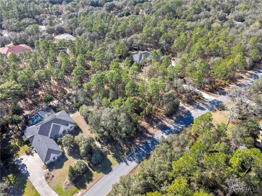 3921 North Longvalley Road Hernando, FL 34442 - Photo 11 of 11