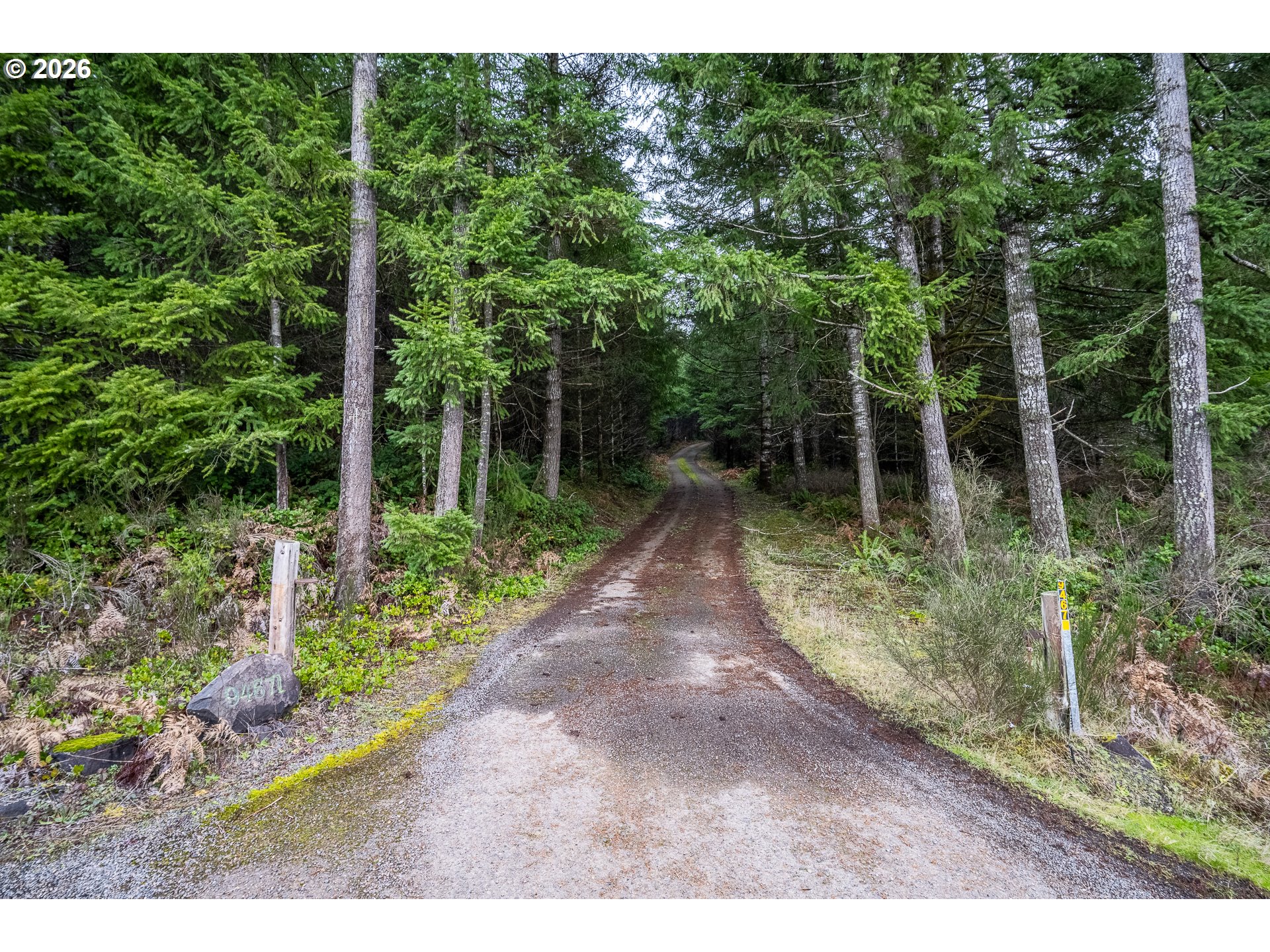 94671 Johnson Road Marcola, OR 97454 - Photo 36 of 48