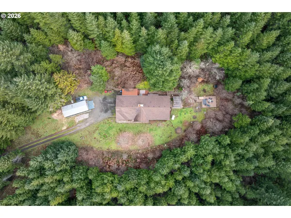 a view of a house with a yard and a large tree