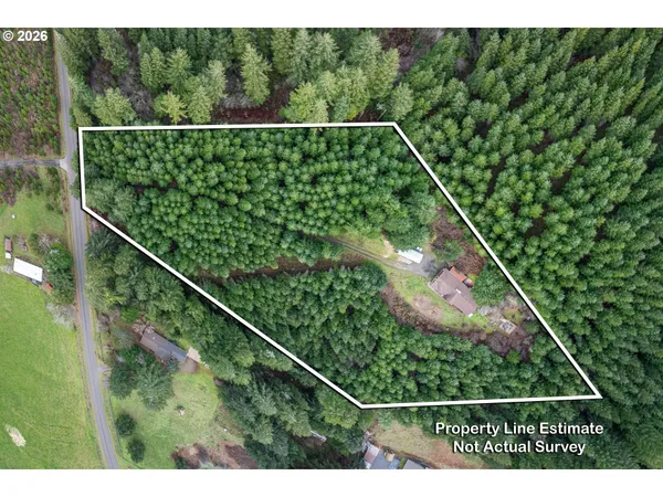 a view of a forest