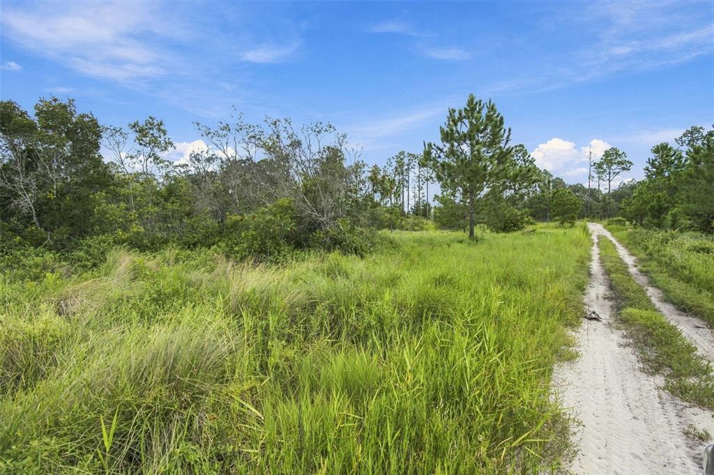 0 Seely Lane Weeki Wachee, FL 34613 - Photo 30 of 31 Gallery Image 30