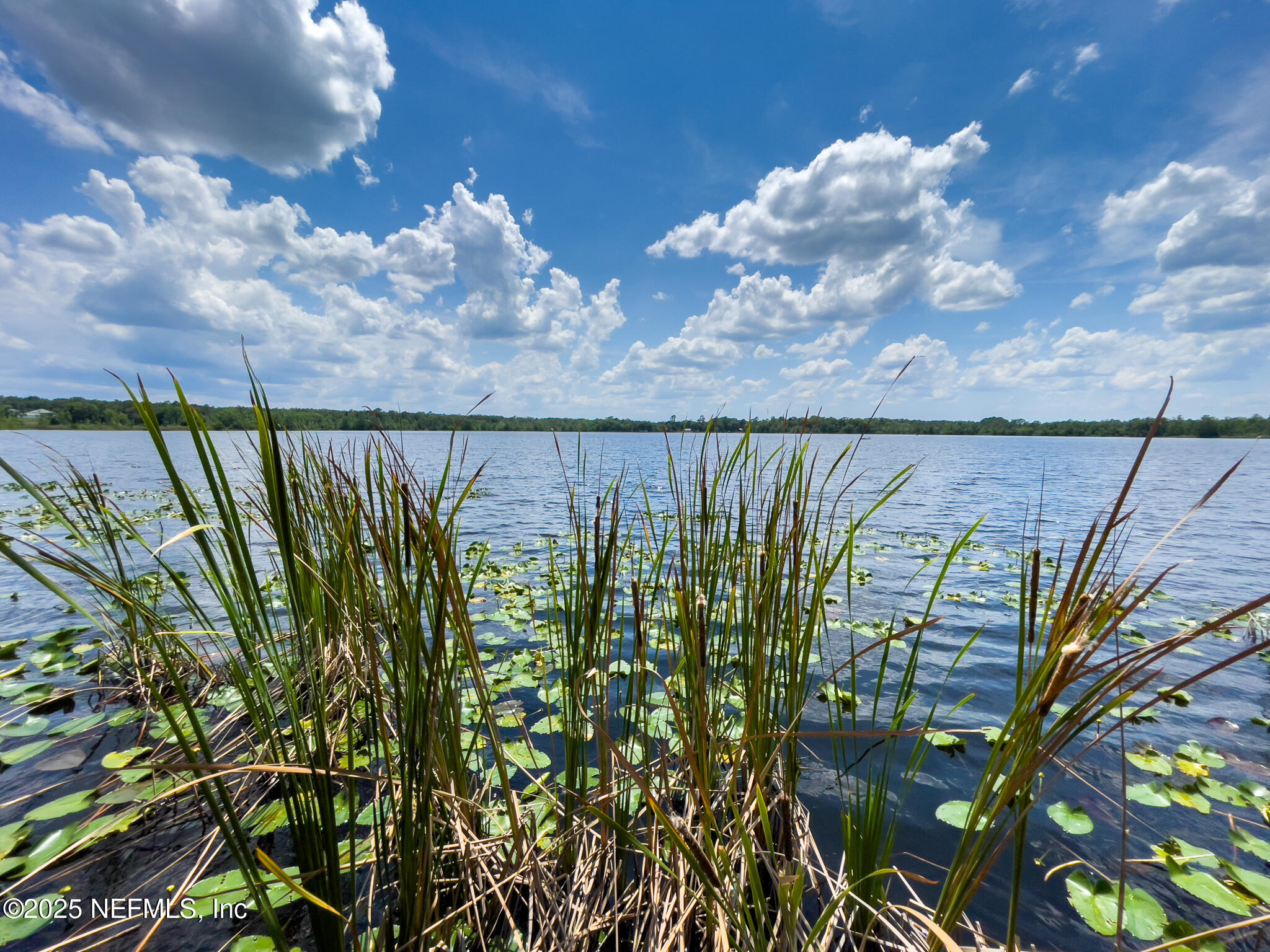 2292 Southeast 170th Avenue Road Silver Springs, FL 34488 - Photo 14 of 71 IMG_9274