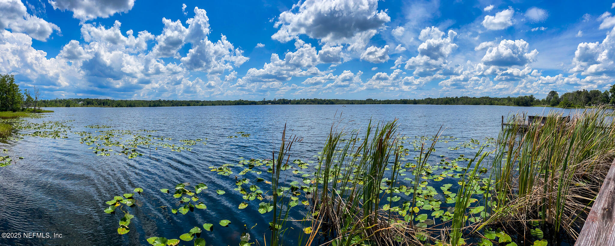 2292 Southeast 170th Avenue Road Silver Springs, FL 34488 - Photo 15 of 71 IMG_9286