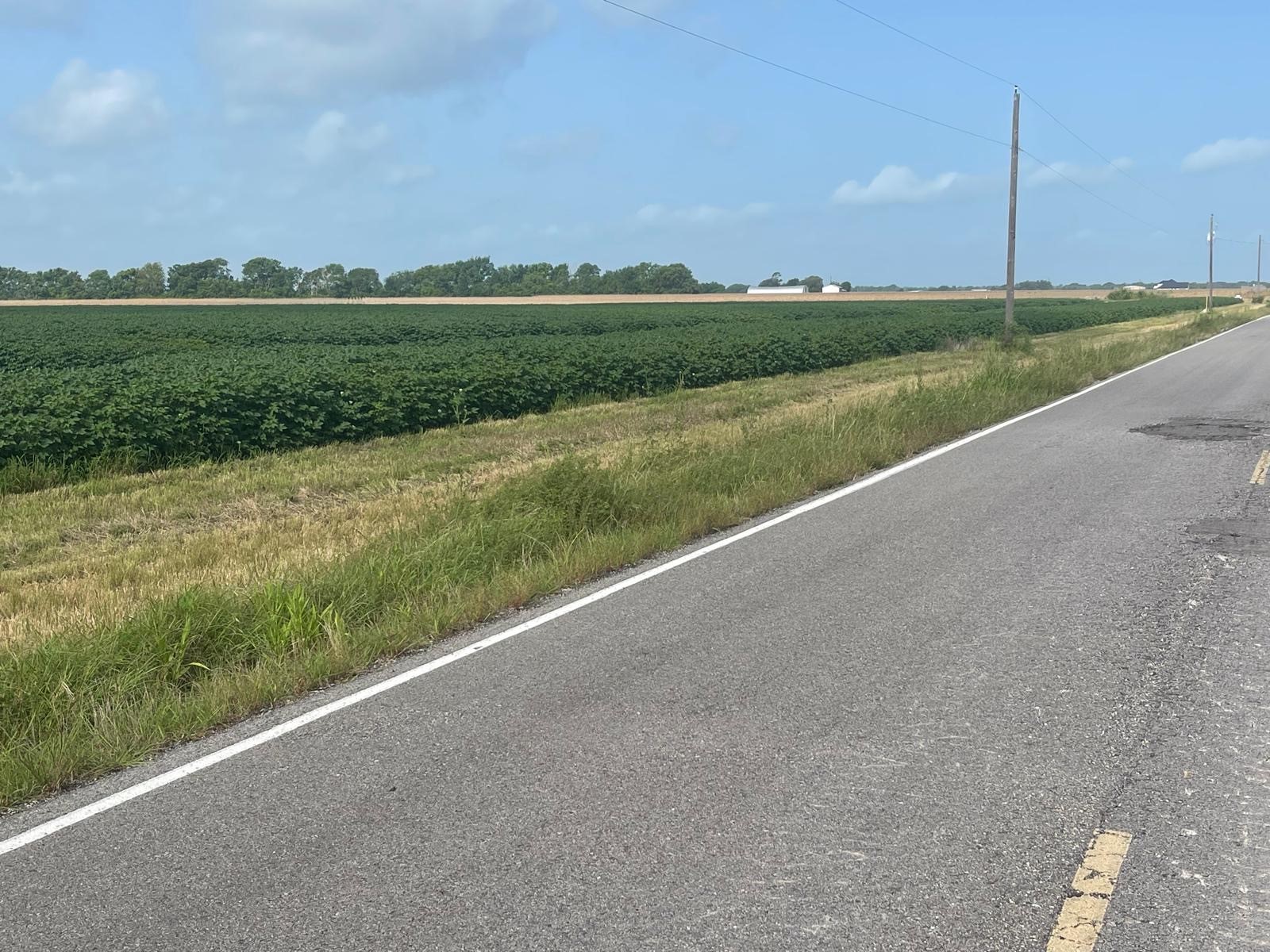 10815 Koym Road Beasley, TX 77417 - Photo 2 of 8 a view of a green field with wooden fence