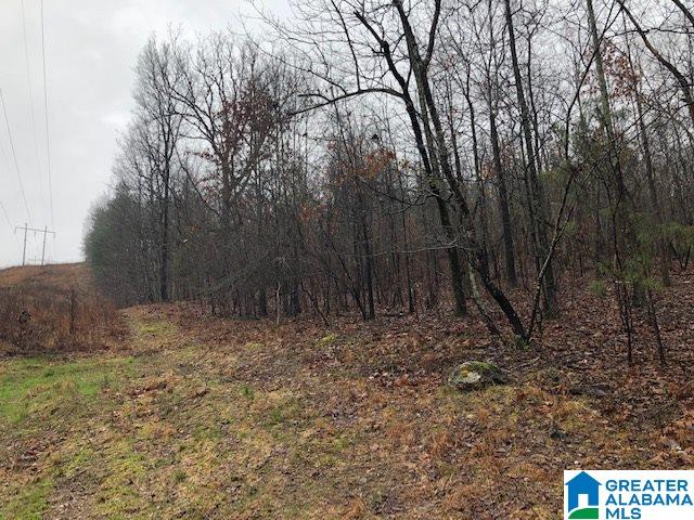 0 Renfroe Road, Unit 129 Alpine, AL 35014 - Photo 16 of 25 Gallery Image 16