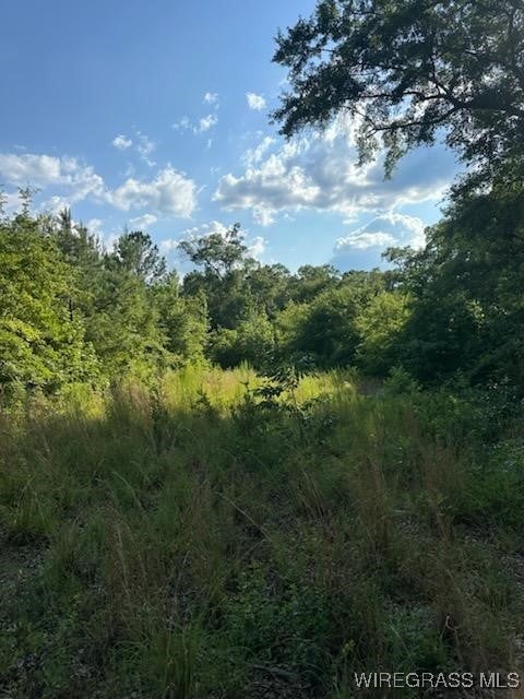 0 County Road 70 Road Ariton, AL 36311 - Photo 7 of 23 Gallery Image 7