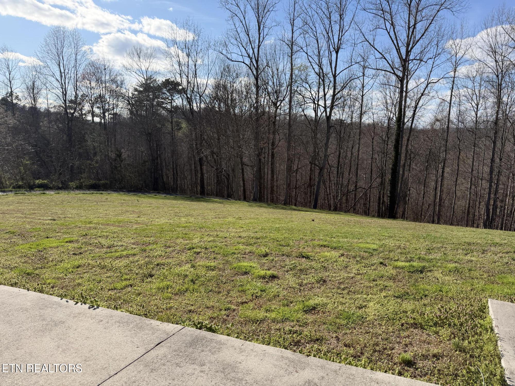 1200 Hickory Star Road Maynardville, TN 37807 - Photo 34 of 34 IMG_2507
