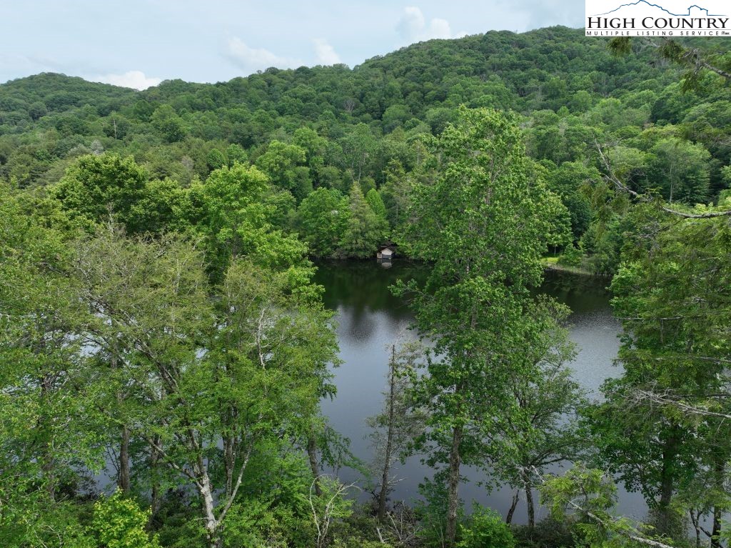 1776 Ripshin Mountain Road Roan Mountain, TN 37687 - Photo 14 of 30 a view of a forest with a lake