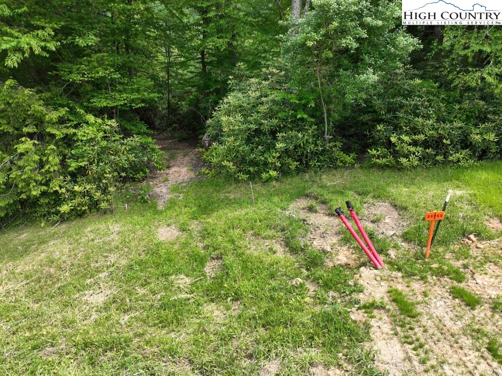1776 Ripshin Mountain Road Roan Mountain, TN 37687 - Photo 16 of 30 a backyard of a house with lots of green space and wooden fence