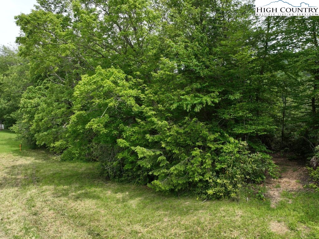 1776 Ripshin Mountain Road Roan Mountain, TN 37687 - Photo 19 of 30 a view of a lush green forest