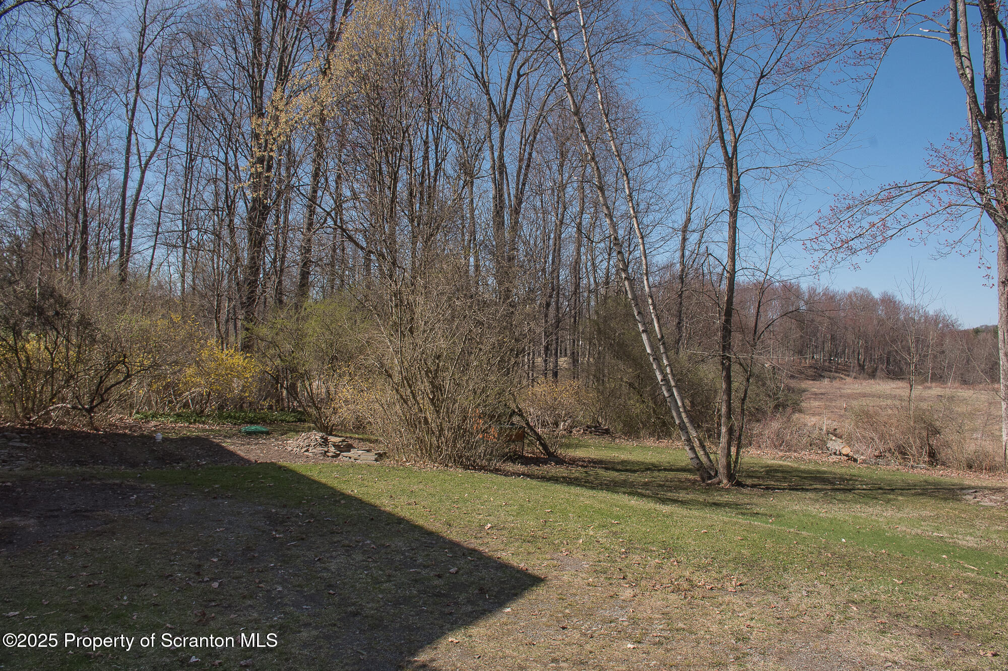 1154 Old Trail Road Clarks Summit, PA 18411 - Photo 5 of 24 Yard