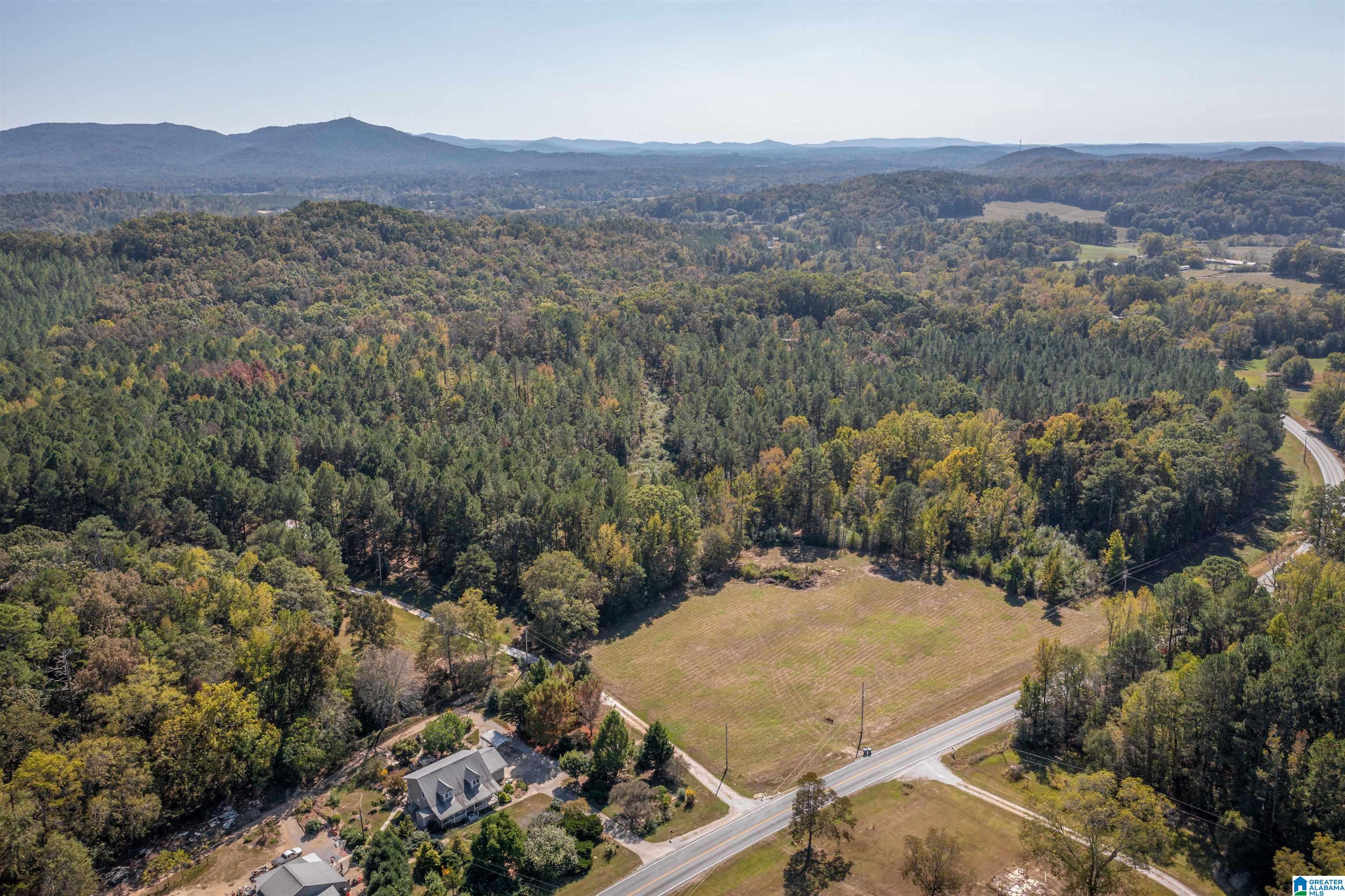0 Roy Webb Road Jacksonville, AL 36265 - Photo 4 of 15