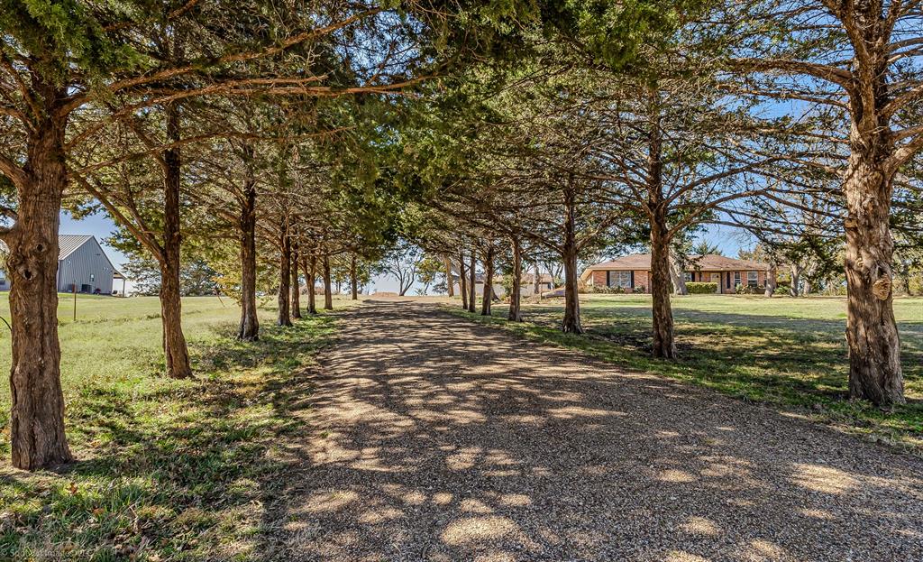 6187 County Road 570 Blue Ridge, TX 75424 - Photo 1 of 1