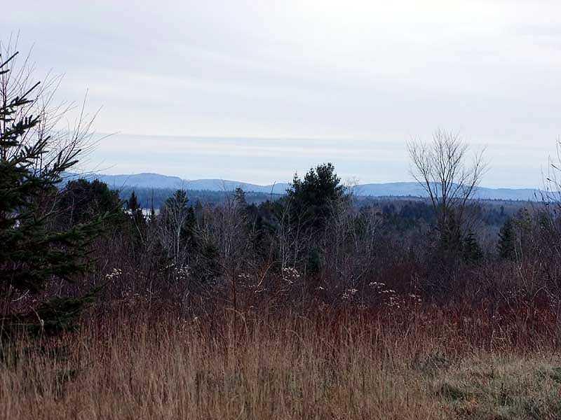 340 Springfield Road Danforth, ME 04424 - Photo 4 of 34 Land.