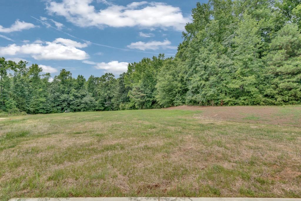 380 Pitts Chapel Road Newborn, GA 30056 - Photo 43 of 45