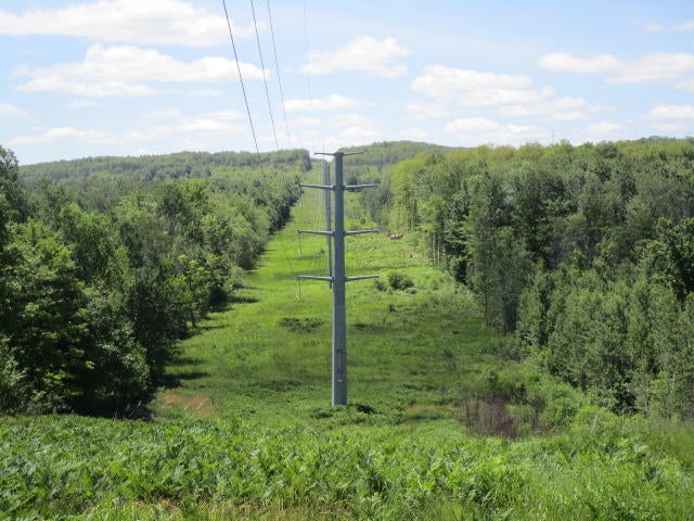 7720 Airport Road Vanderbilt, MI 49795 - Photo 59 of 62 Gallery Image 59