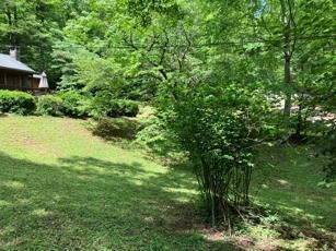 1275 Taylor Road Hiawassee, GA 30546 - Photo 27 of 56 Gallery Image 27