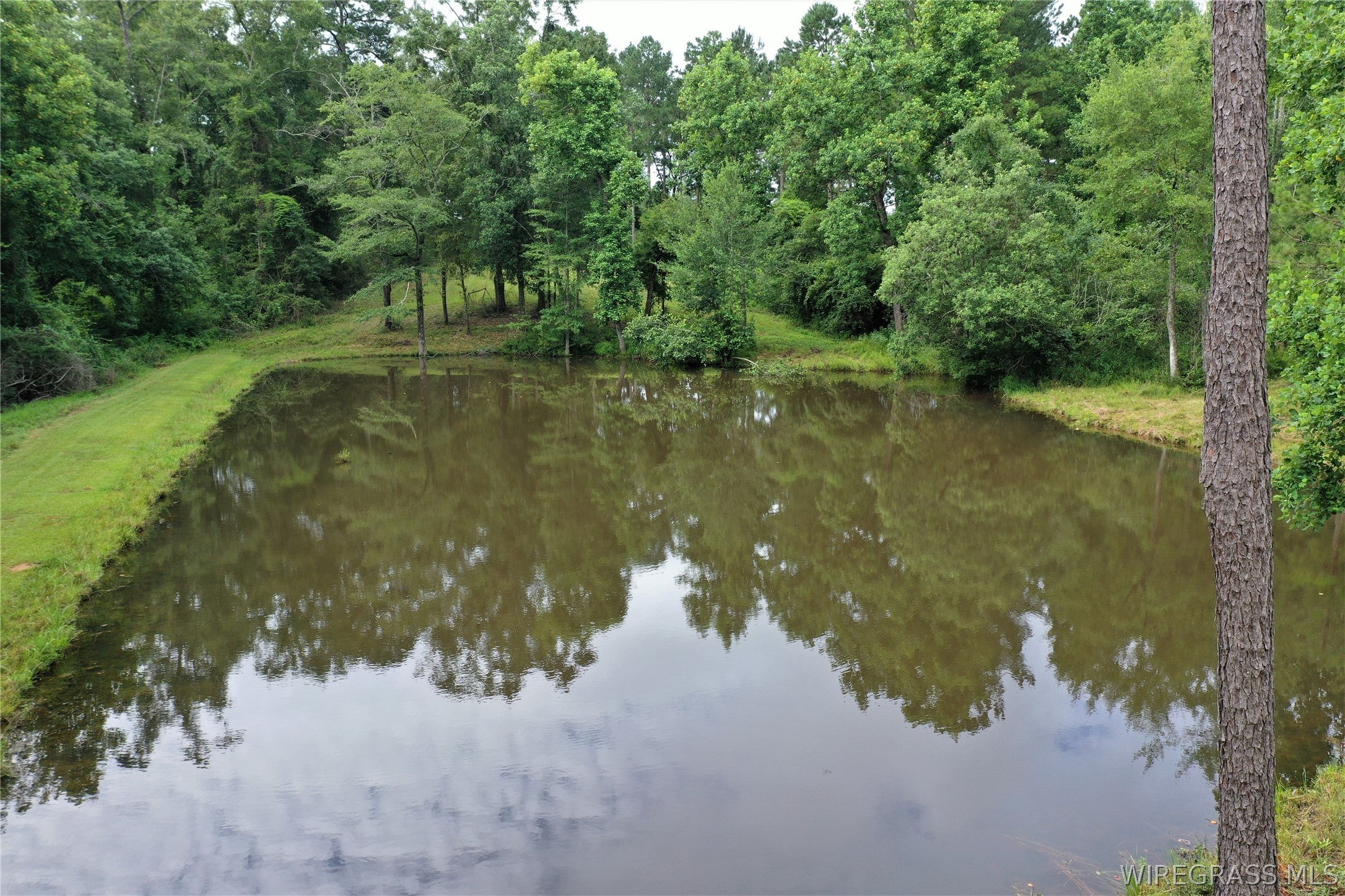 26775 Weaver Place Road Opp, AL 36467 - Photo 42 of 49 Gallery Image 42