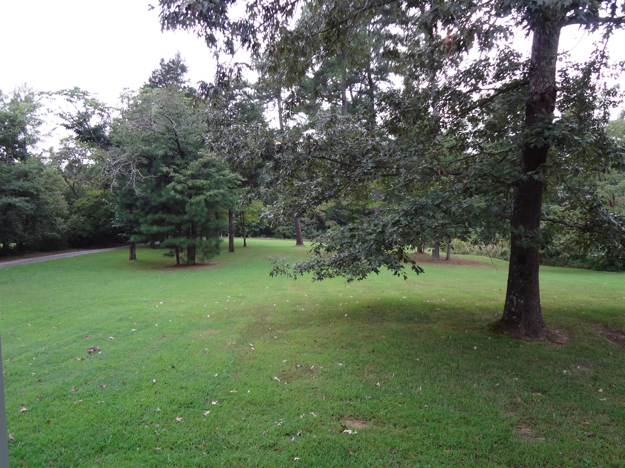 284 Blackey Bandy Road Bethpage, TN 37022 - Photo 2 of 13 Gallery Image 2
