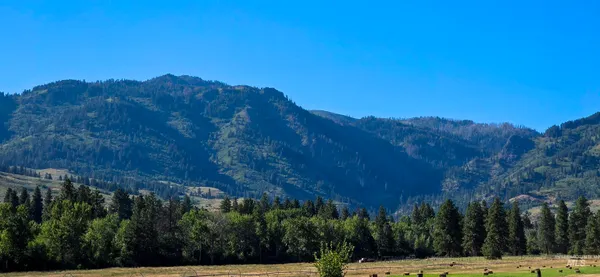 $649,000 | 3496 Ward Road, Cambridge, ID 83610