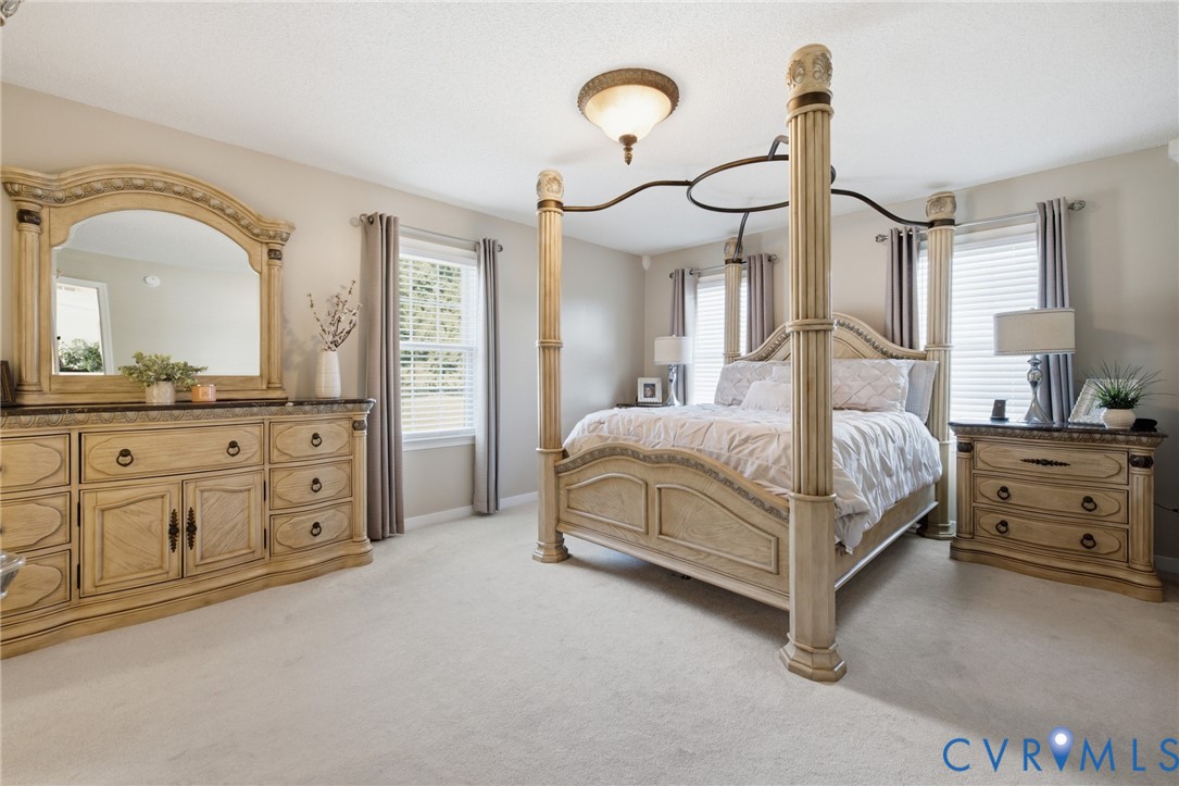 15300 Lebanon Road Spring Grove, VA 23881 - Photo 14 of 41 Primary bedroom showing the king sized bed and car