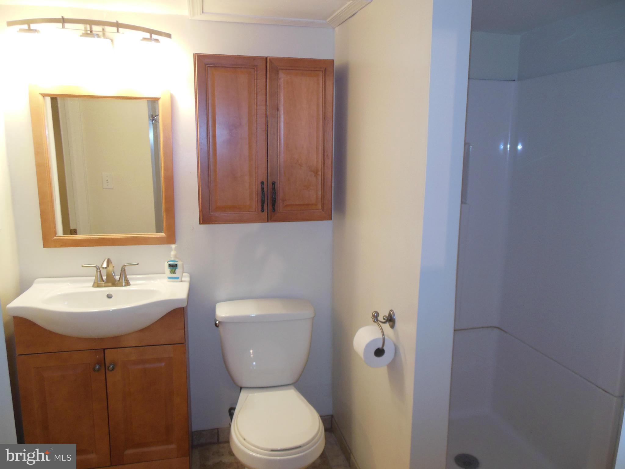3001 Dunglow Road Baltimore, MD 21222 - Photo 20 of 30 Bath on lower level