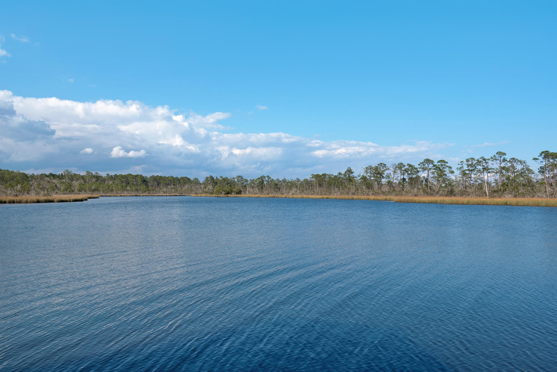 515 Whitfield Road Freeport, FL 32439 - Photo 31 of 39 a view of an ocean with lake view