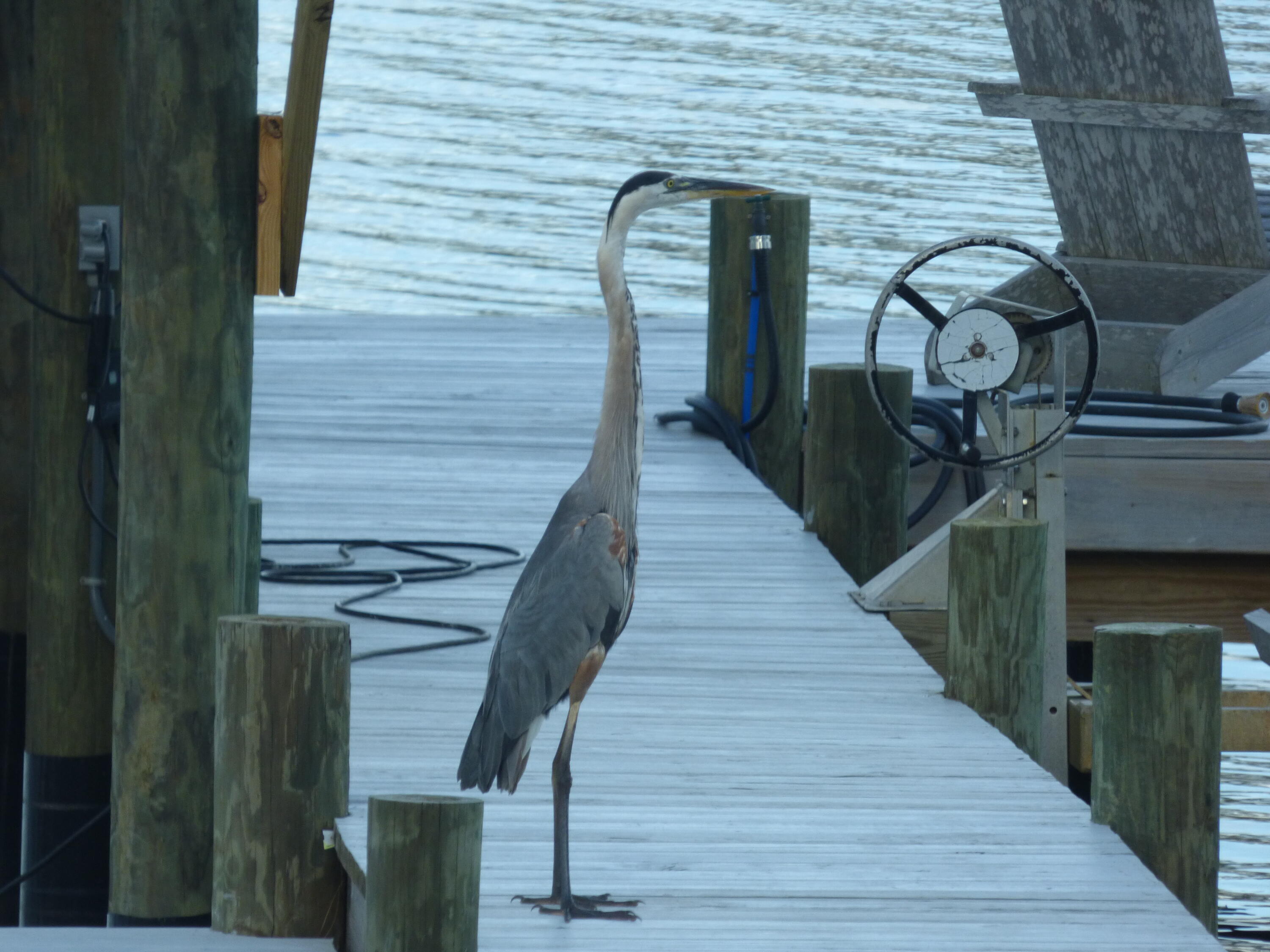 515 Whitfield Road Freeport, FL 32439 - Photo 35 of 39 a view of entryway with wooden floor