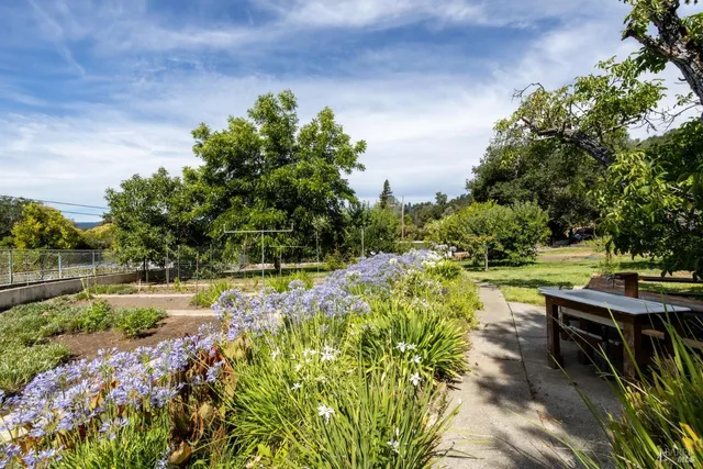 a view of a garden with a pathway