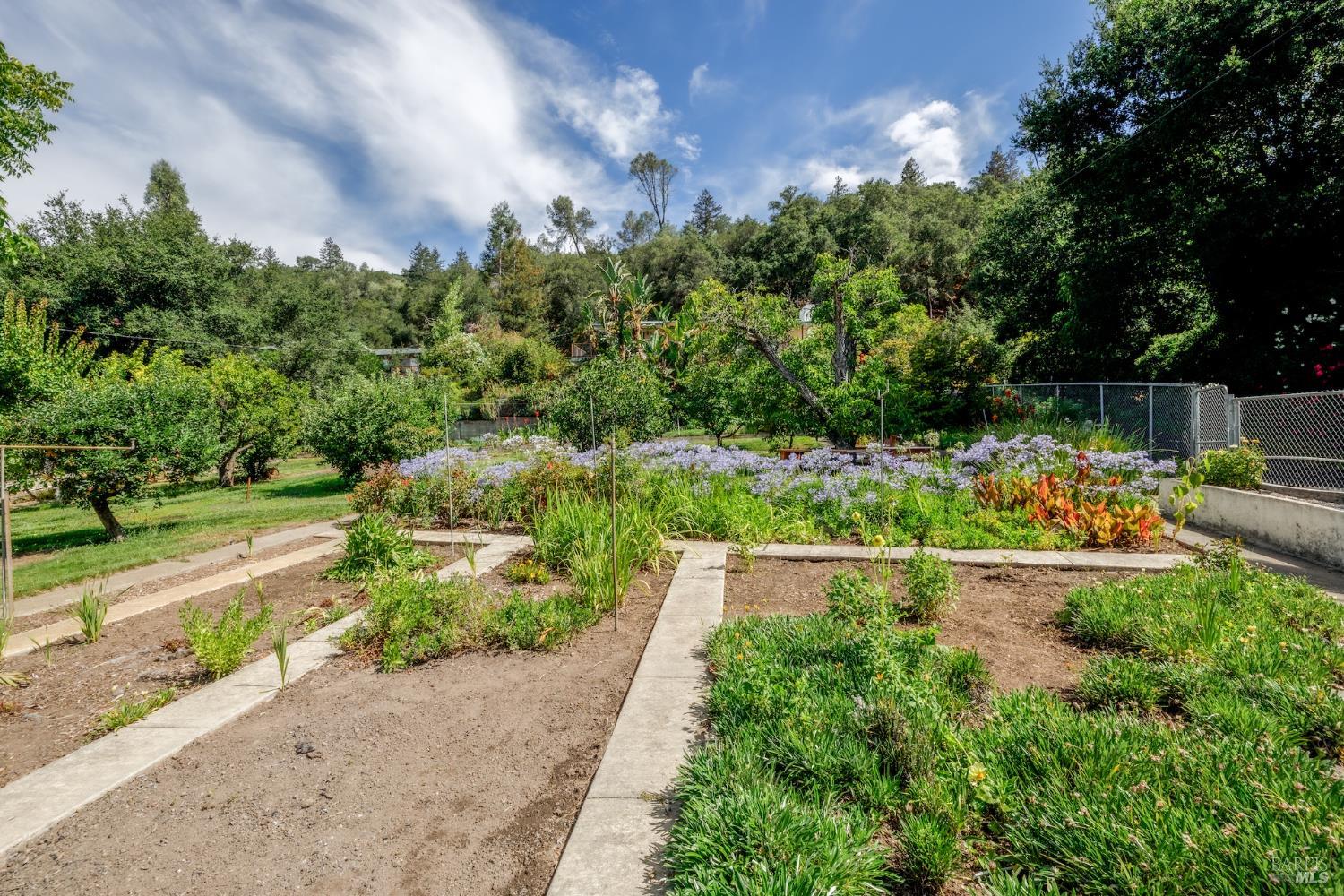 1135 Palomino Road Cloverdale, CA 95425 - Photo 32 of 42 a view of a garden with a pathway