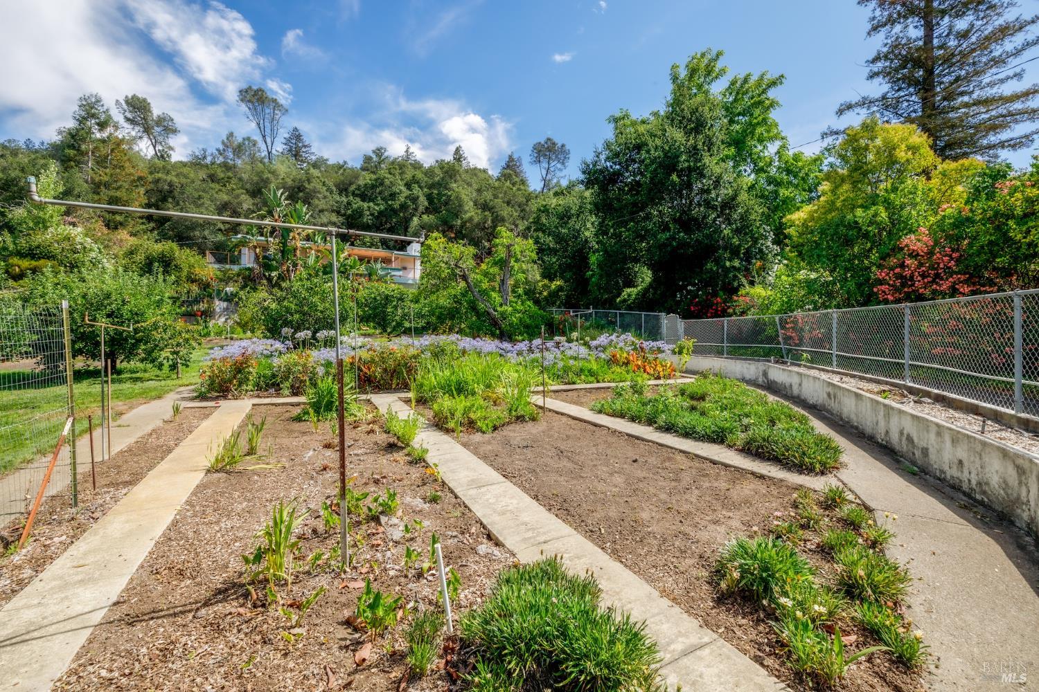 1135 Palomino Road Cloverdale, CA 95425 - Photo 33 of 42 a view of a garden with a patio