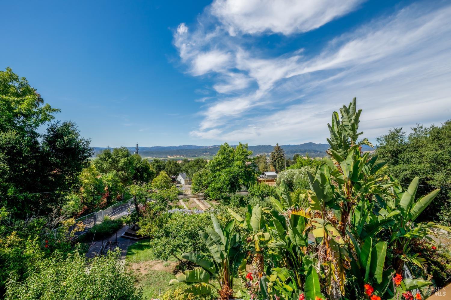 1135 Palomino Road Cloverdale, CA 95425 - Photo 5 of 42 a view of a garden