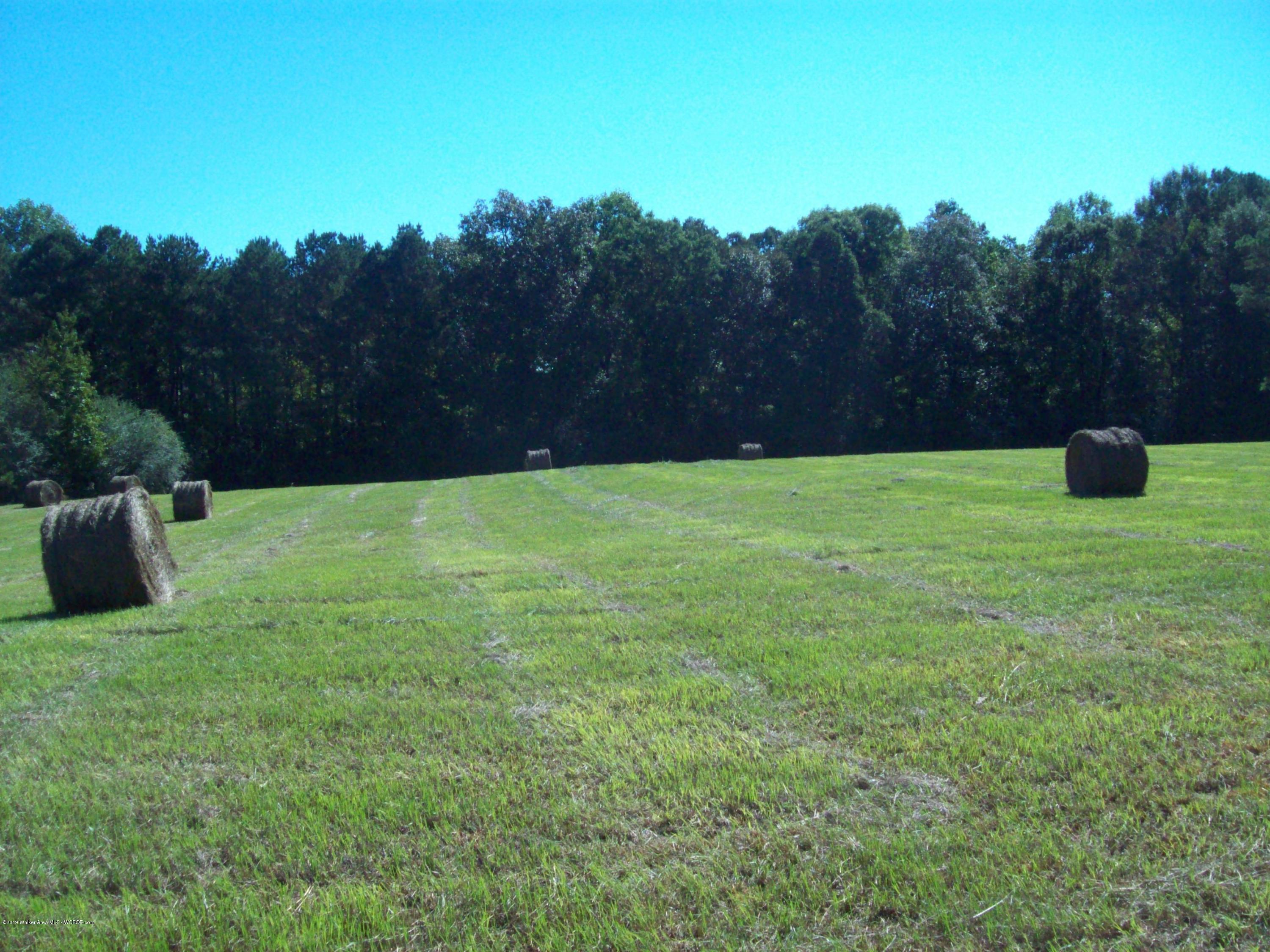 282 Sanders Road Jasper, AL 35504 - Photo 5 of 6 Gallery Image 5
