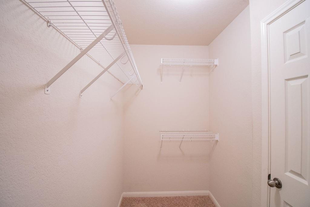 312 Pheasant Ridge Drive Round Rock, TX 78665 - Photo 23 of 34 A well-organized walk-in closet featuring ample shelving and hanging space to keep belongings tidy.
