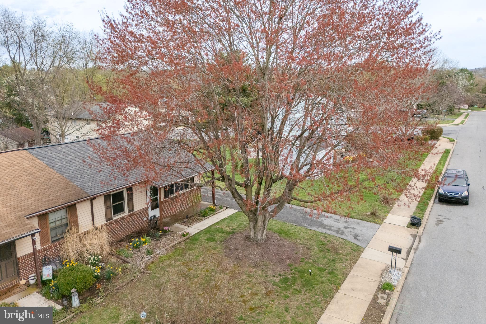 17 Turnbridge Drive Lancaster, PA 17603 - Photo 26 of 32 a front view of a house with a yard
