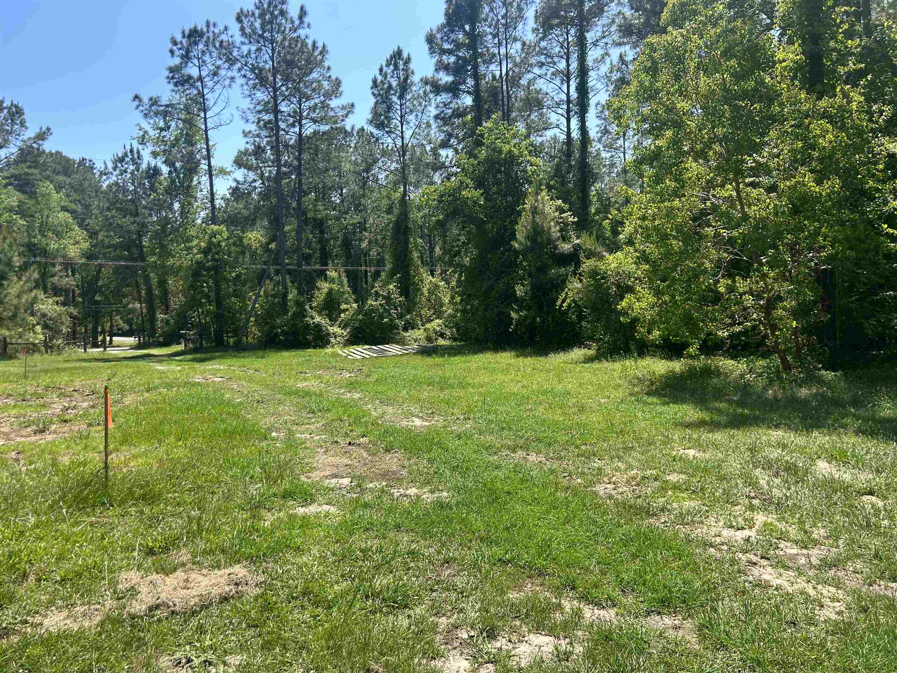 7 Buck Lake Road Tallahassee, FL 32317 - Photo 8 of 9 Gallery Image 8