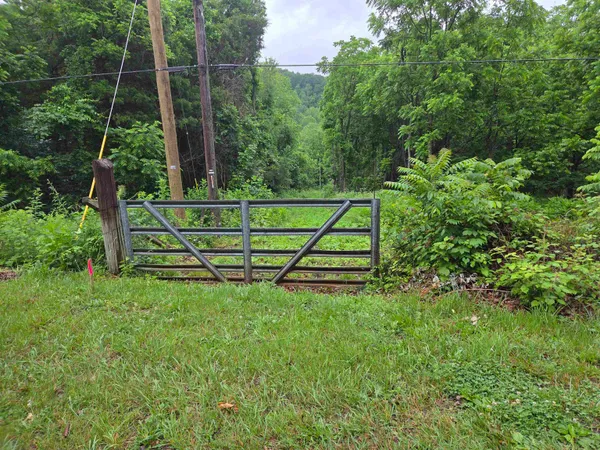 a view of street with lush green forest
