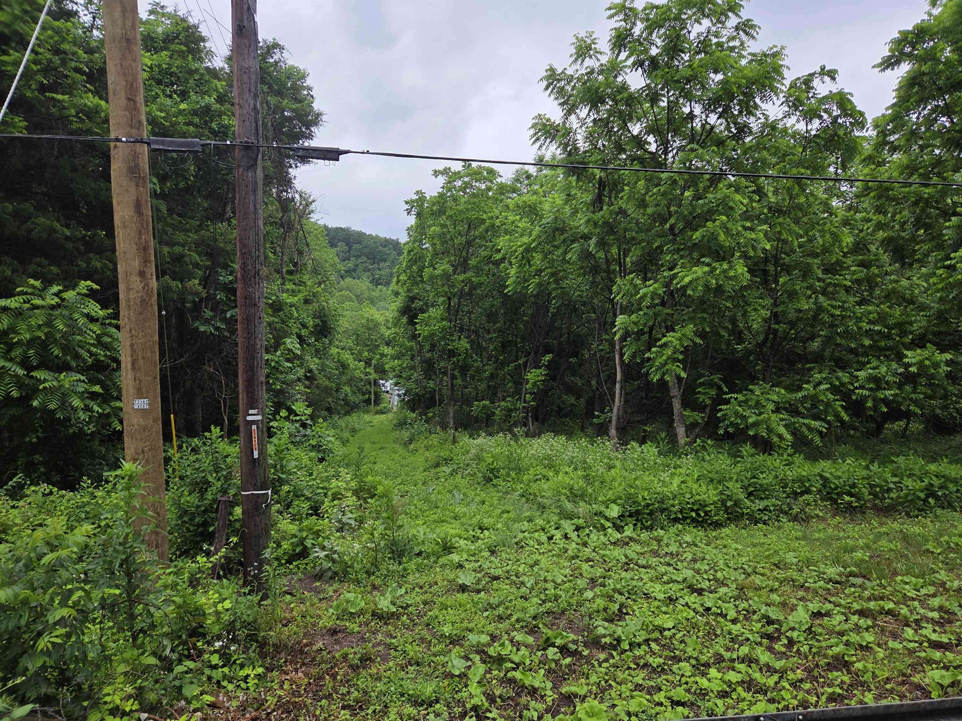 900 Sandy Bottom Road Elkton, VA 22827 - Photo 3 of 5